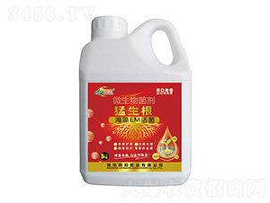 ΢�������-������-�n��-�n��ʘI(y��)