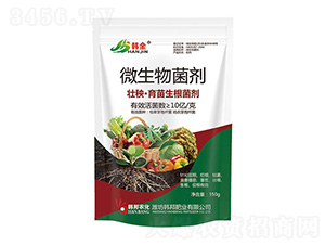 ������������΢�������-�n��-�n��ʘI(y��)