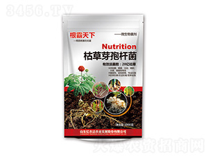 �ݲ�ѿ���U��-��������-�n��ʘI(y��)