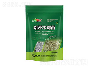 ����ľù��-�n��-�n��ʘI(y��)