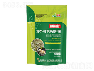 ���¡��ݲ�ѿ�ߗU��-���_(d��)��-�n��-�n��ʘI(y��)