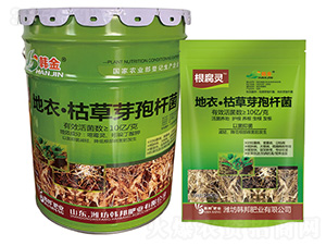 ���¡��ݲ�ѿ�ߗU��-�����`-�n��-�n��ʘI(y��)