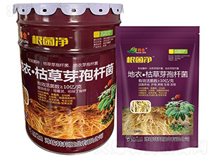 ���¡��ݲ�ѿ�ߗU��-������-�n��-�n��ʘI(y��)