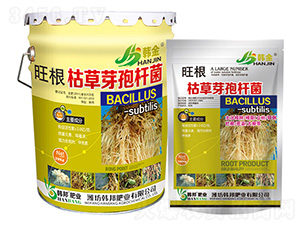 �����ݲ�ѿ�ߗU��--�n��-�n��ʘI(y��)