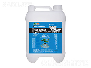 �ز���-������-�n��-�n��ʘI(y��)