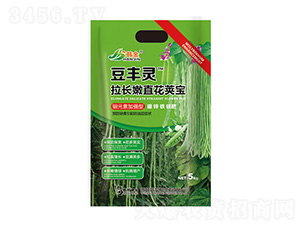 �fԪ�ؼӏ�(qi��ng)�����L��ֱ���v��-�n��-�n��ʘI(y��)