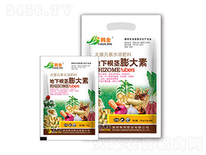 ���¸��o�����-�n��-�n��ʘI(y��)