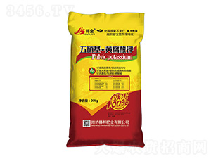 ���������S�����-�n��-�n��ʘI(y��)