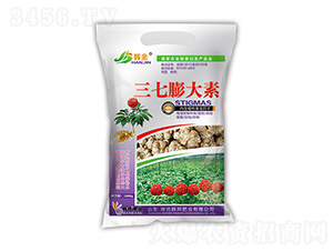 ���������-�n��-�n��ʘI(y��)