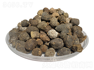 �F�ݾ���-�����ʘI(y��)