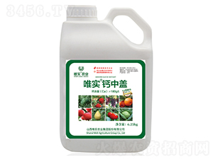 Ψ��(sh��)���}���w