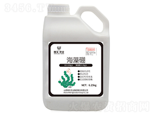 ������-Ψ��(sh��)