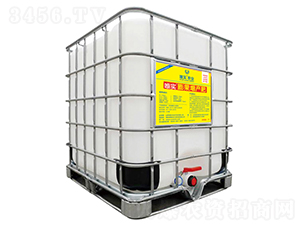 ������a��-Ψ��