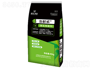 ΢�������-������-Ψ��