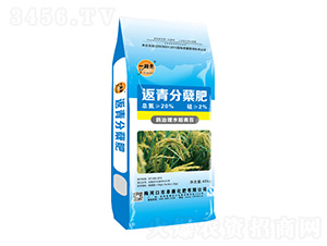 ������Y��-һ��ȫ-��������