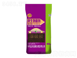 ��|��΢�������-һ��ȫ-��������