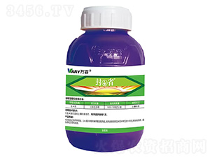 81%ມ���������������-��ʡ-�f��