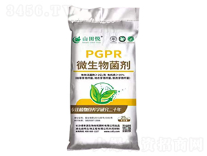 PGPR΢�������-ɽ�-�G�SԴ