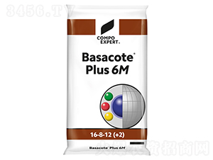 �^�p�@ˇ��16-8-12��6M��-���_��-����