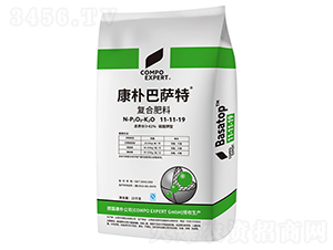 ������_�؏�(f��)�Ϸ���11-11-19-����