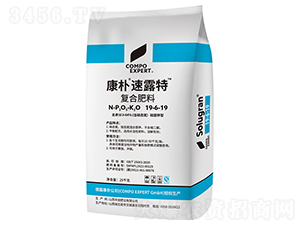 ������¶�؏�(f��)�Ϸ���19-6-19-����