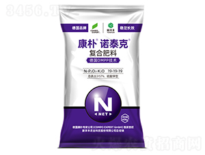 �����Z̩�ˏ�(f��)�Ϸ���19-19-19-����