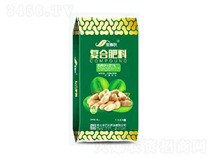 ���������������(f��)�Ϸ���-���|�_(d��)�ʘI(y��)