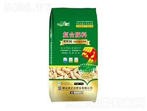 �p�������Ï�(f��)�Ϸ�12-16-17-������-���|�_(d��)�ʘI(y��)