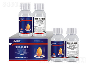 12%���ѡ��������x(ch��ng)�N��̎��Ҹ���-С����-���r(sh��)��