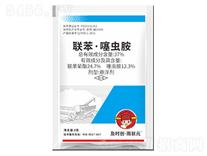 37%(li��n)�������x���Ҹ���-���r��(chu��ng)�����Ԫ-���r��