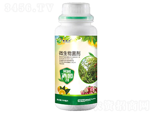 ������@΢�������-������