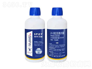 24-���|̦�؃�(n��i)֬-�|��-ʩ������