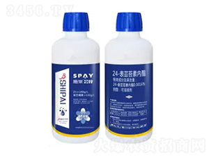 24-���|̦�؃�(n��i)֬-�|�\-ʩ������