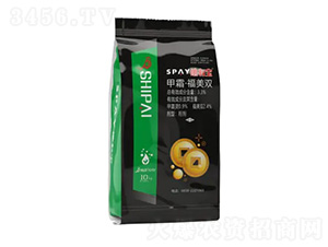 ����ˎ��-���Ќ�-ʩ������