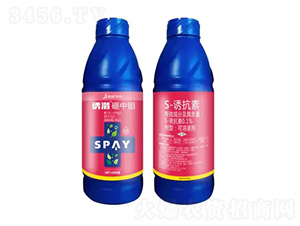 �T�������f-ʩ������