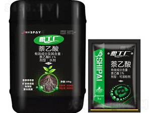 �����S-ʩ������