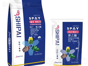 ������-ʩ������