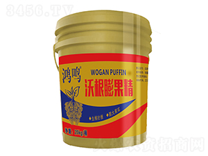 �ָ������-���Q