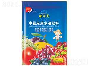 ����Ԫ��ˮ�ܷ���-�����-���Q