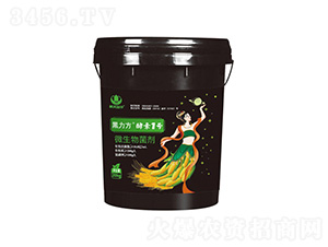 ΢�������-������������1̖-���A����