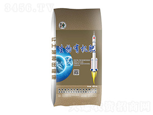 0.2�|�����ЙC��-���A����