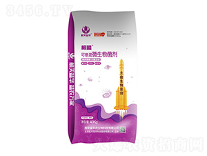 �ɓ���΢�������-����-���A����