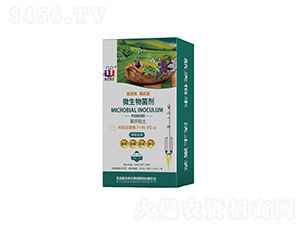 ΢�������-����ԣ��-���A����