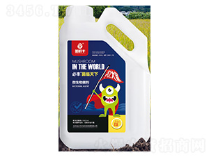 ΢�������-���R����-����S