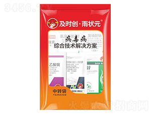 �������C�ϼ��g��Q����-���r��(chu��ng)�����Ԫ-���r��