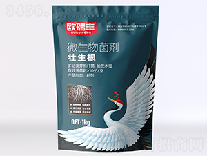 ΢�������-������-�W���S