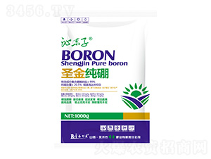 ʥ����-�ߖ|��-ʥ��ʘI(y��)