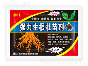 ��(qi��ng)���������焩-���U��-ʥ��ʘI(y��)