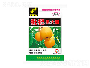 ��Ч���������ɫ��-���˹�����-ʢ��-ʥ��ʘI(y��)