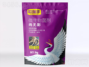 ΢�������-���oӰ-�W���S